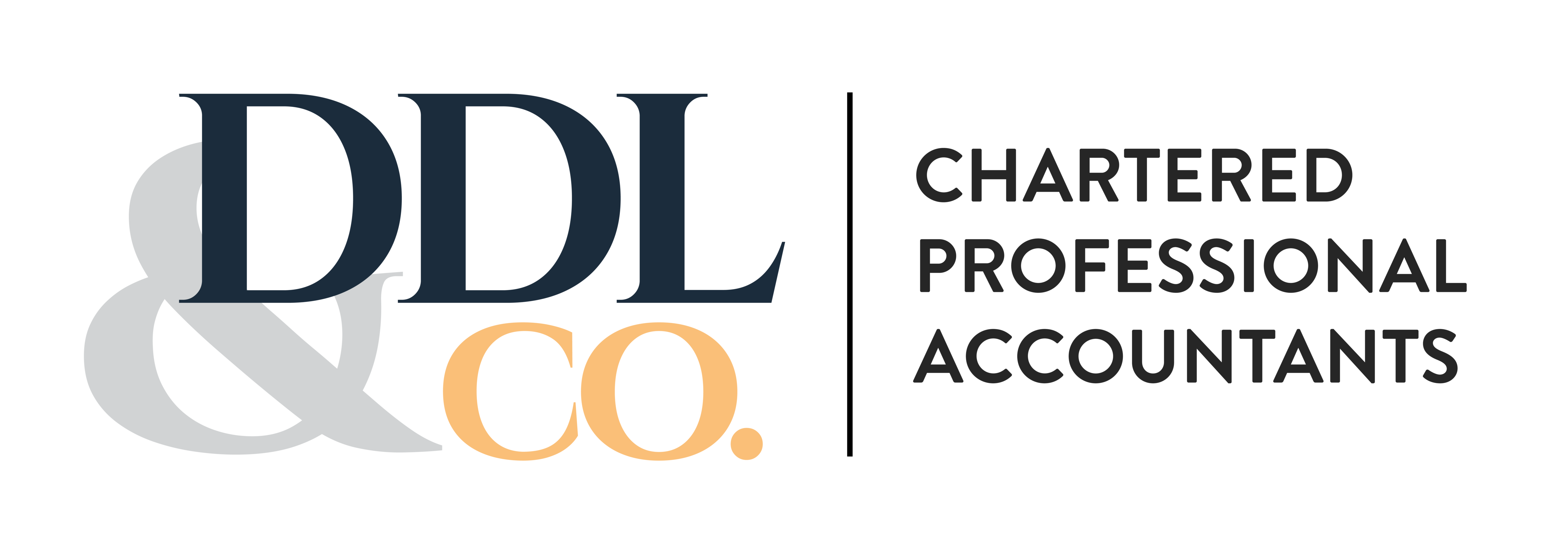 DDL Chartered Professional Accountants